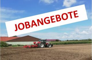 Jobangebote Jobangebote