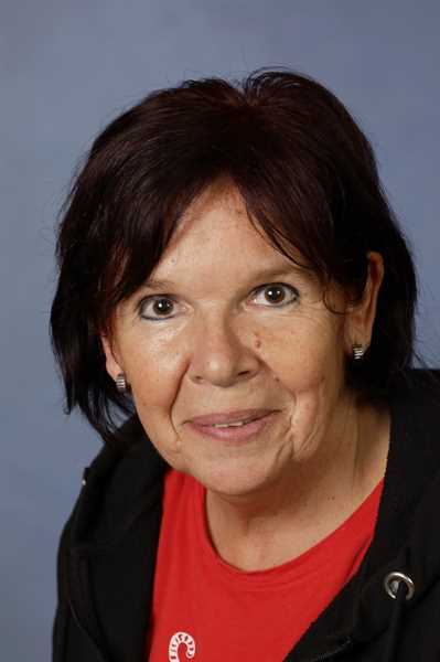 Reingungskraft
