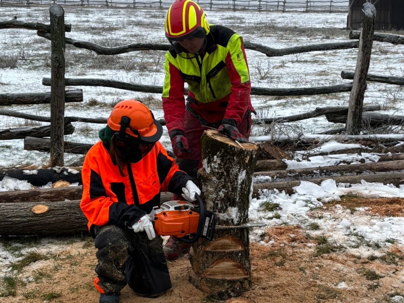 Schülerinnen beim Forstkurs